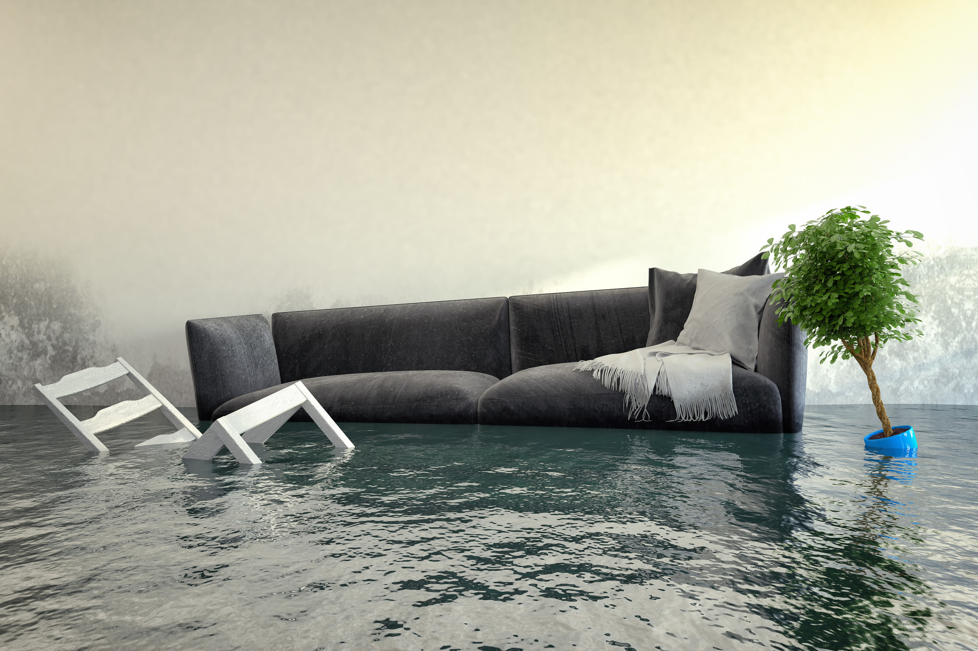 Pussy floods living room image