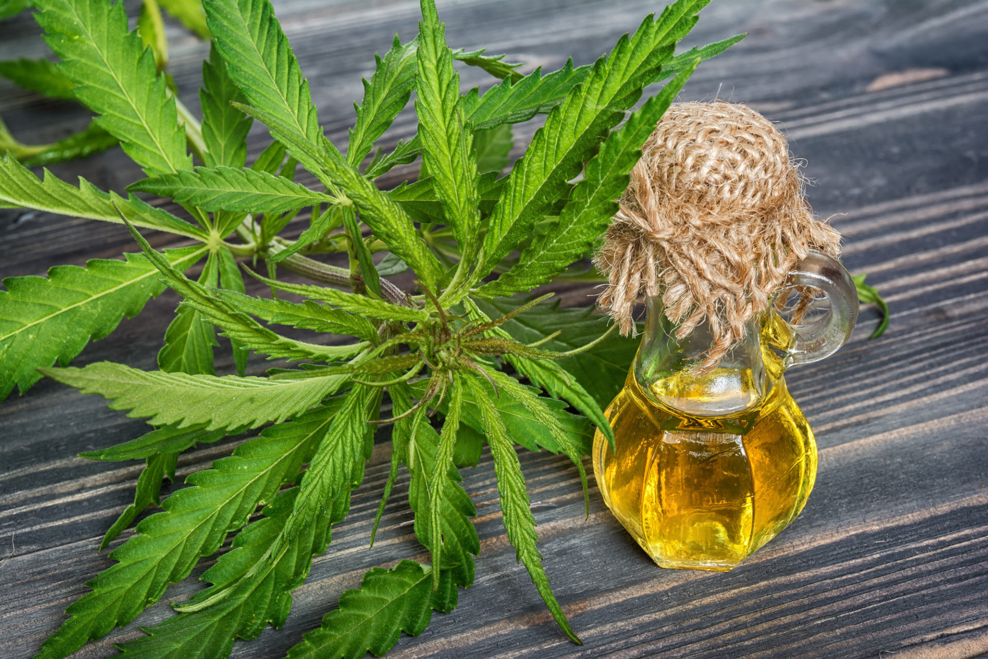 does-cbd-oil-help-with-high-blood-pressure-your-questions-answered